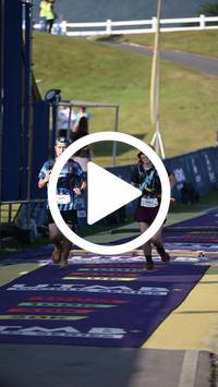 BIB:  <button type="button" onclick="openModal(27215155)" class="btn btn-primary btn-sm float-right" data-toggle="modal" data-target=".modal-high-quality">
                <i class="fa fa-download"></i> Download
                </button>